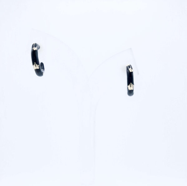 PENDIENTES ERIS
