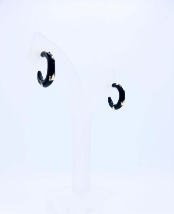 PENDIENTES ERIS - Imagen 2