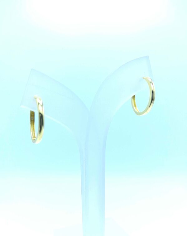 PENDIENTES IRIS - Imagen 2