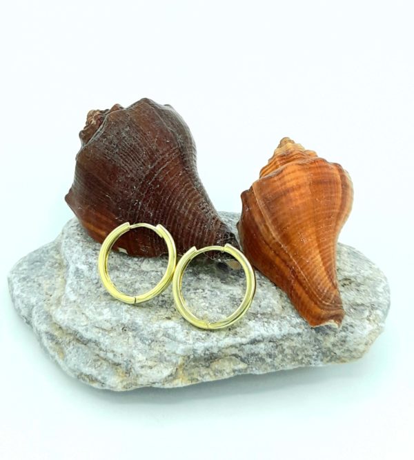 PENDIENTES IRIS