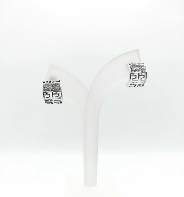 PENDIENTES TITÁNIDE PLATEADOS