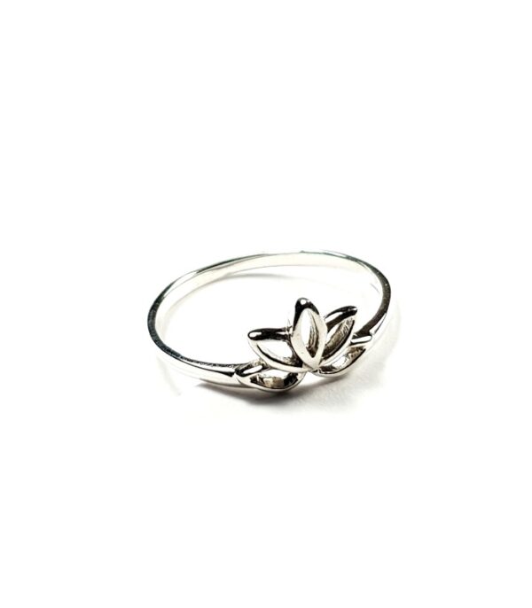 Anillo PETRA