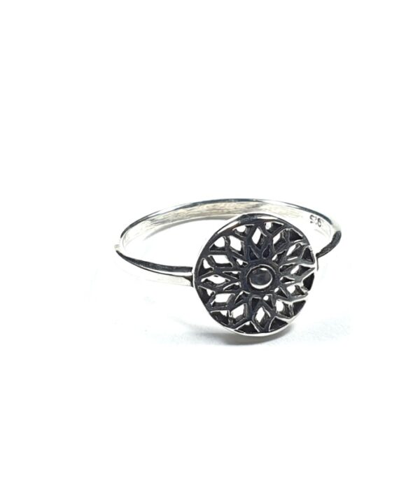 Anillo RODA