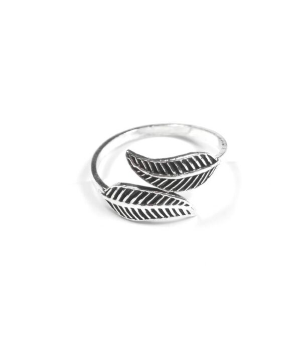 Anillo FYLLO