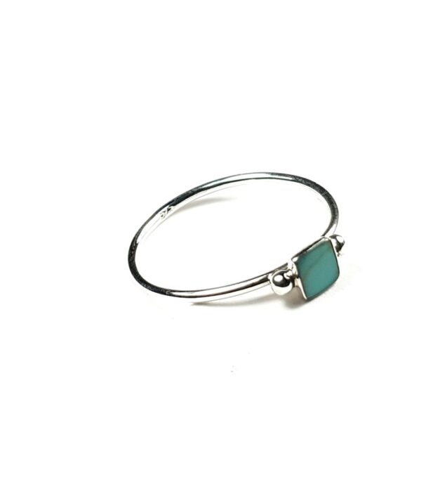 Anillo DANÚBIA