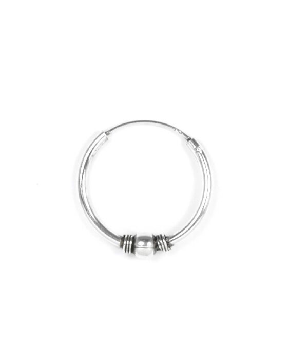 Pendientes BIA