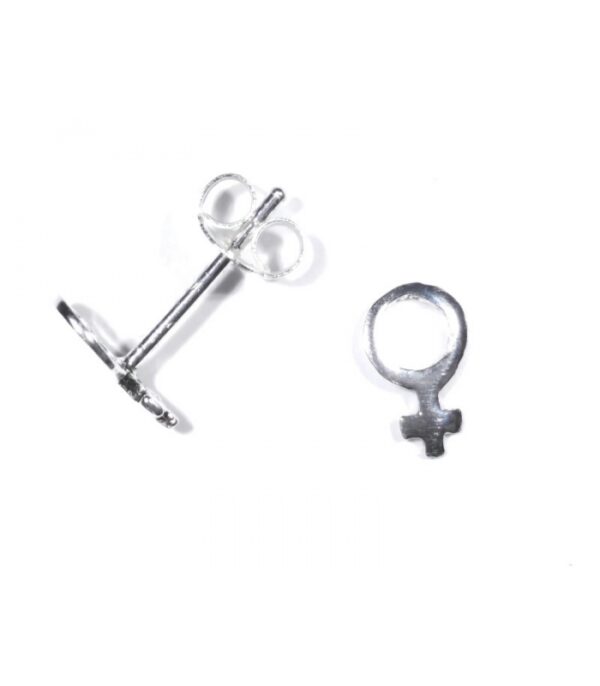 Pendientes SELENE